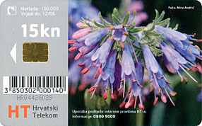 MODRO LASINJE - Croatia Old Chip Card * Flora Flore Flowers Fleurs Blumen Fiori Flores Flower Fleur Blume - Fleurs