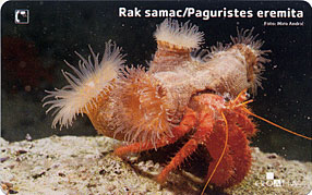 PAGURISTES EREMITA ( Croatia ) - Crab - Crabe - Krabbe - Cangrejo - Granchio ** Fish - Poisson - Pez - Pesci  RAK SAMAC - Peces