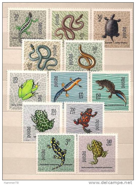 POLAND 1963 PROTECTED REPTILES & AMPHIBIANS Set MNH - Unused Stamps