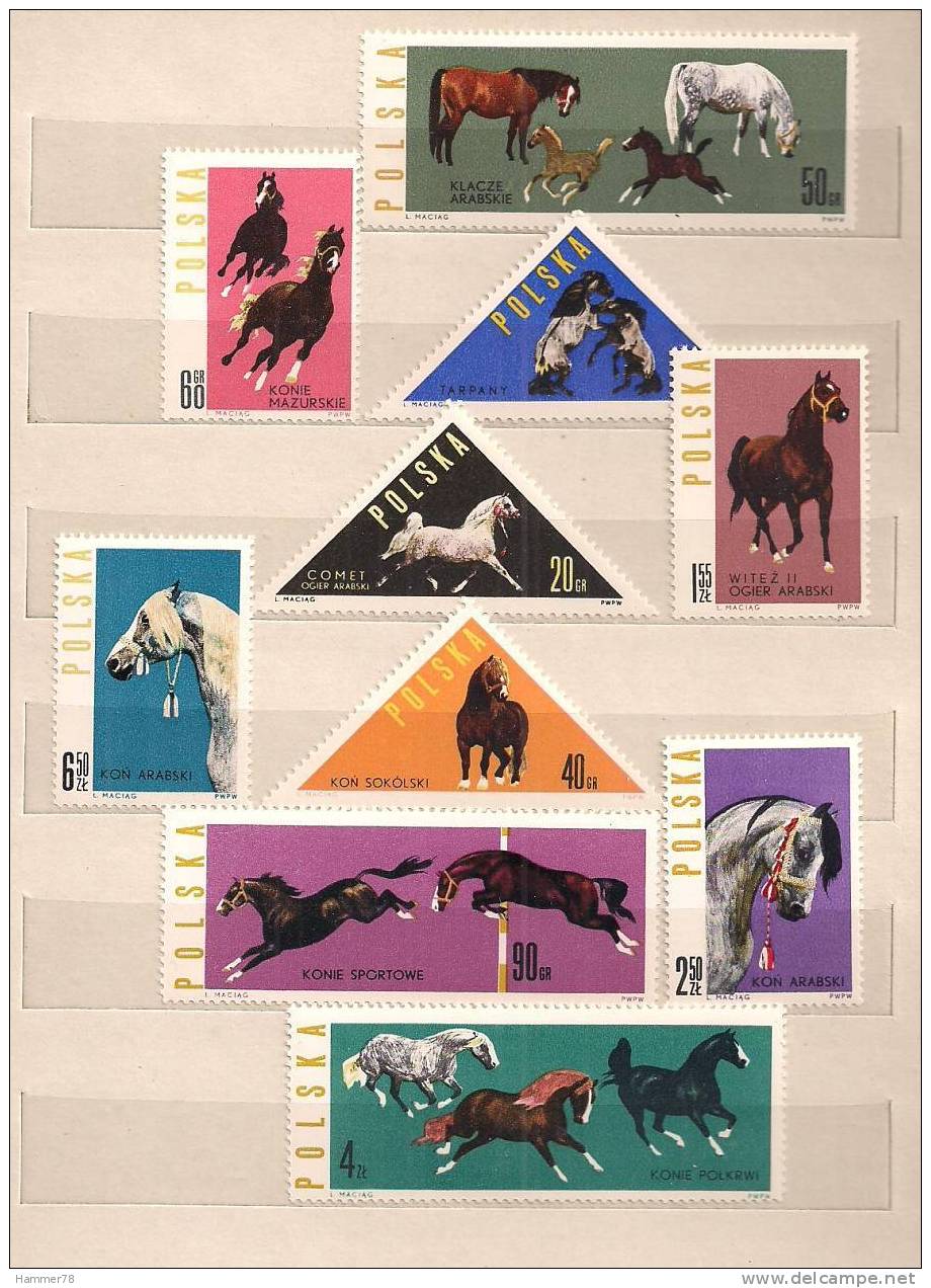 POLAND 1963 POLISH HORSE-BREEDING Set MNH - Unused Stamps