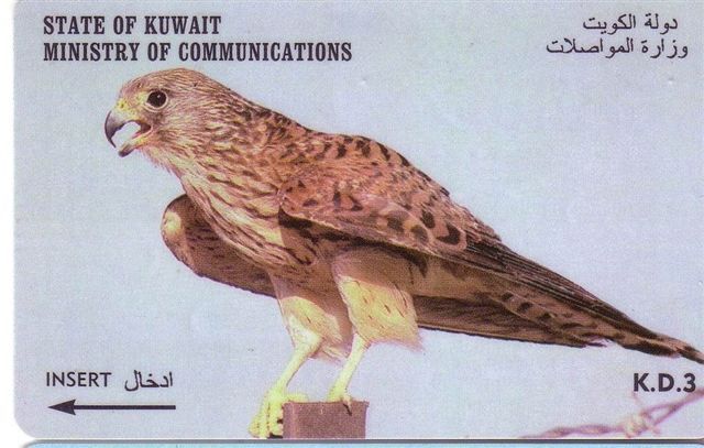 Faune - Fauna - Oiseaux - Birds - Oiseau - Eagle - Falcon - Faucon - Aigle - Bird - Falcons - Eagles - Kuwait 1 - Aquile & Rapaci Diurni