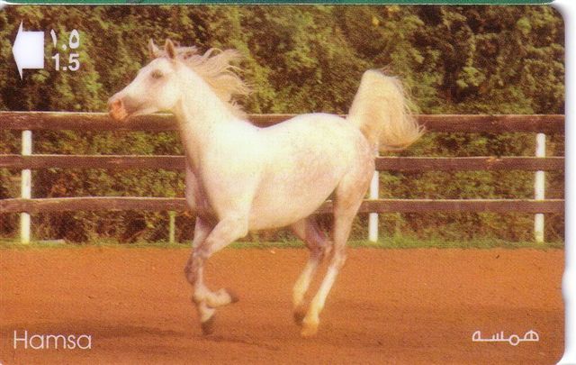 Animals - Horse - Caballo- Cheval - Cavallo - Pferd - Horses - HAMSA - Pferde