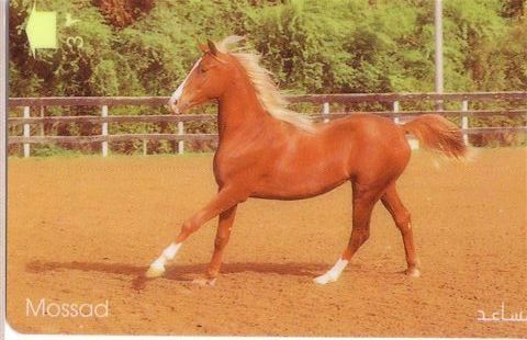 Animals - Horse - Caballo- Cheval - Cavallo - Pferd - Horses - MOSSAD - Caballos