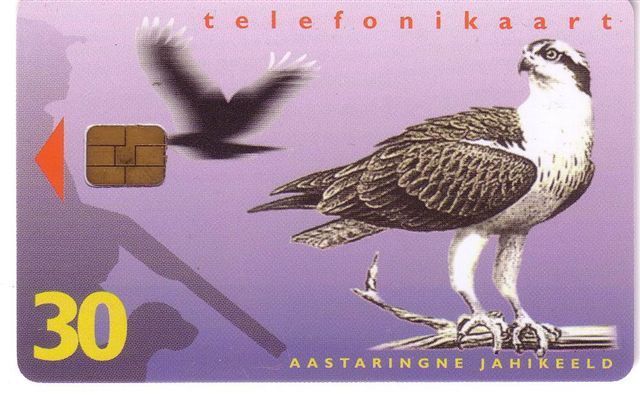 Animals - Birds - Eagles - Falcon - Hawk - Falke - Halcon - Faucon - Falcone - Eagle Estonia - Aquile & Rapaci Diurni