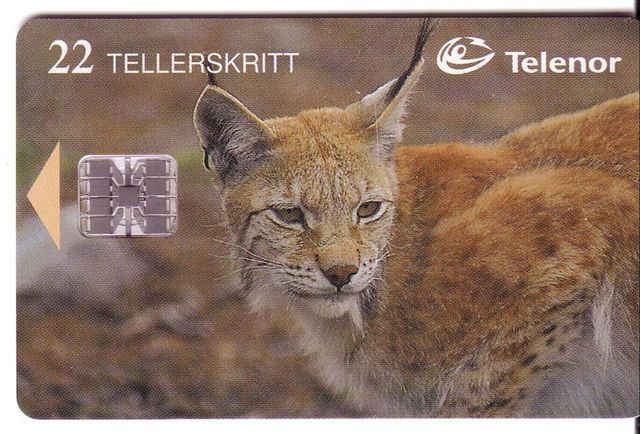 Norway - Norvege - Lynx - Luchs - Lince - Loup Cervier -  See Scan For Condition Before Biding - Norwegen