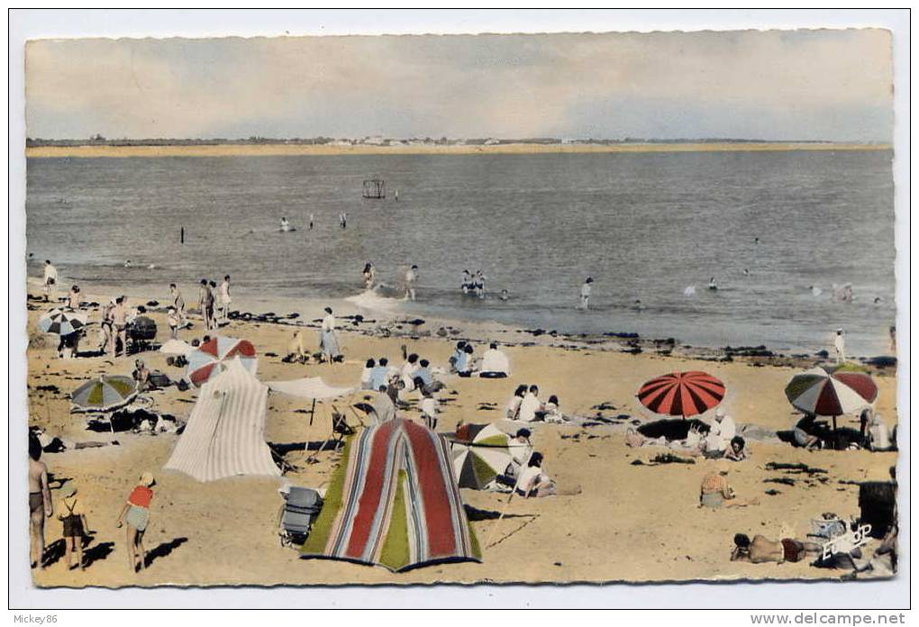 LA TRANCHE Sur Mer--cpsm Des Années 50--La Plage Avec, Au Loin La Cote De La Grière N°1854 Par éd De L´Europe - La Tranche Sur Mer