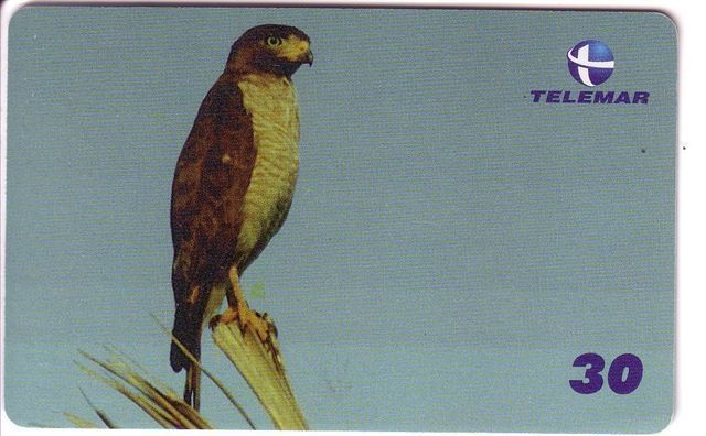 EAGLE - FALCON (Brazil Old Card) * Hawk - Falke - Halcon - Faucon - Falcone -eagle - Aigle ... See Scan For Condition - Brésil