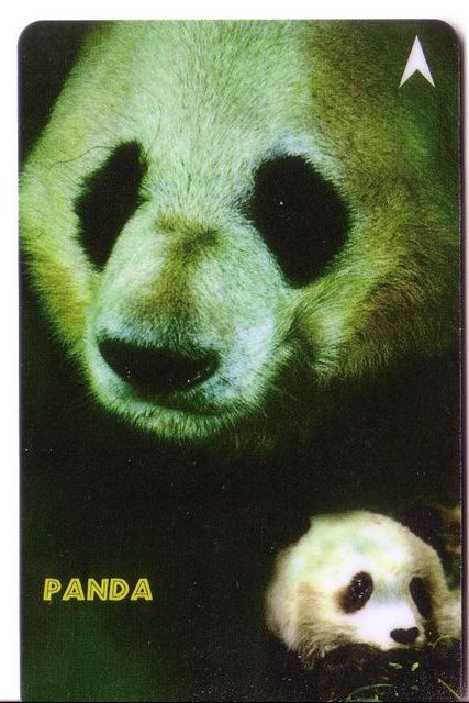 Singapour – Wild Animals - Bear - Ours - Bears - Grizzly - Baer - Oso - Endurer - Nais - Orso - Singapore Rare PANDA - Singapour