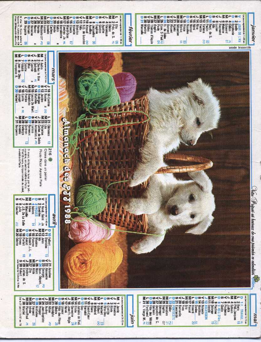 CALENDRIEZR PTT 1988  OLLER - Groot Formaat: 1981-90