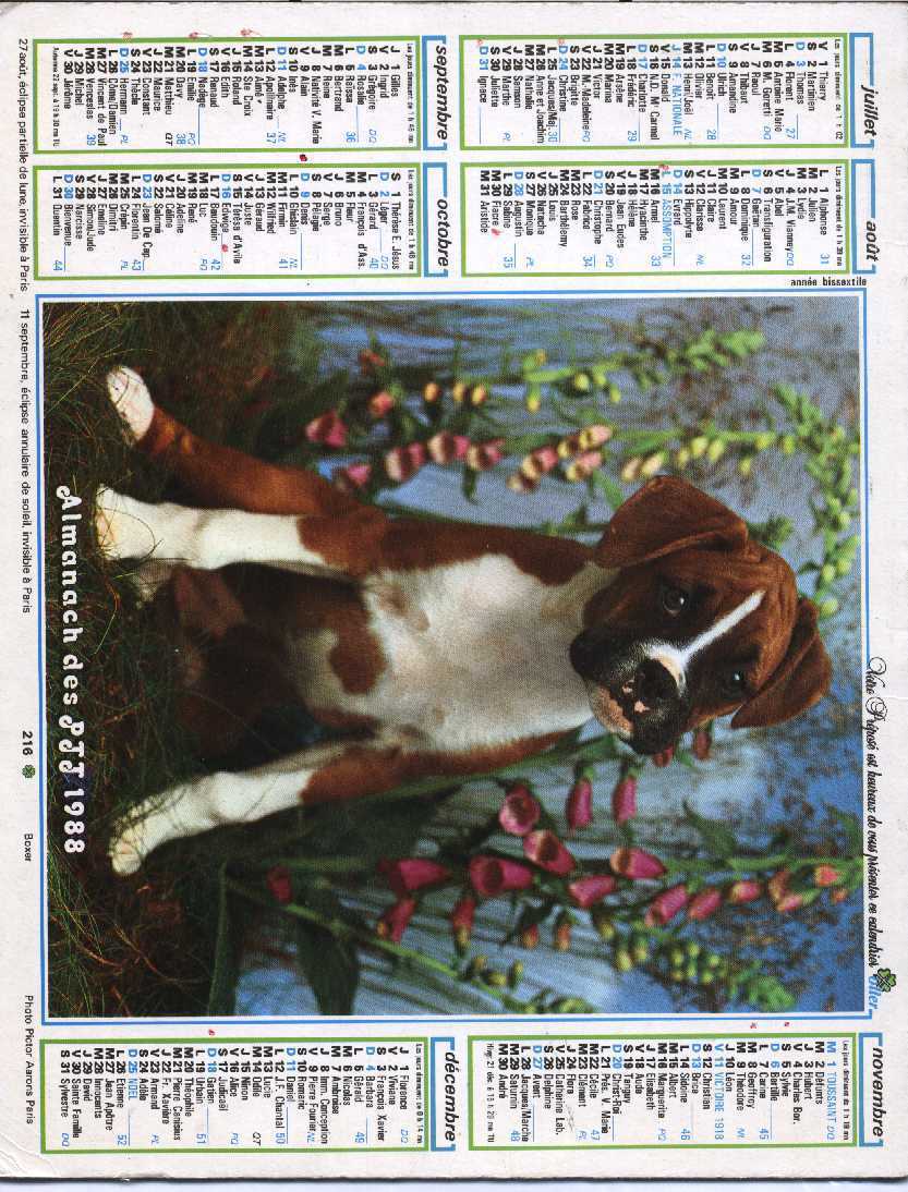 CALENDRIEZR PTT 1988  OLLER - Grand Format : 1981-90