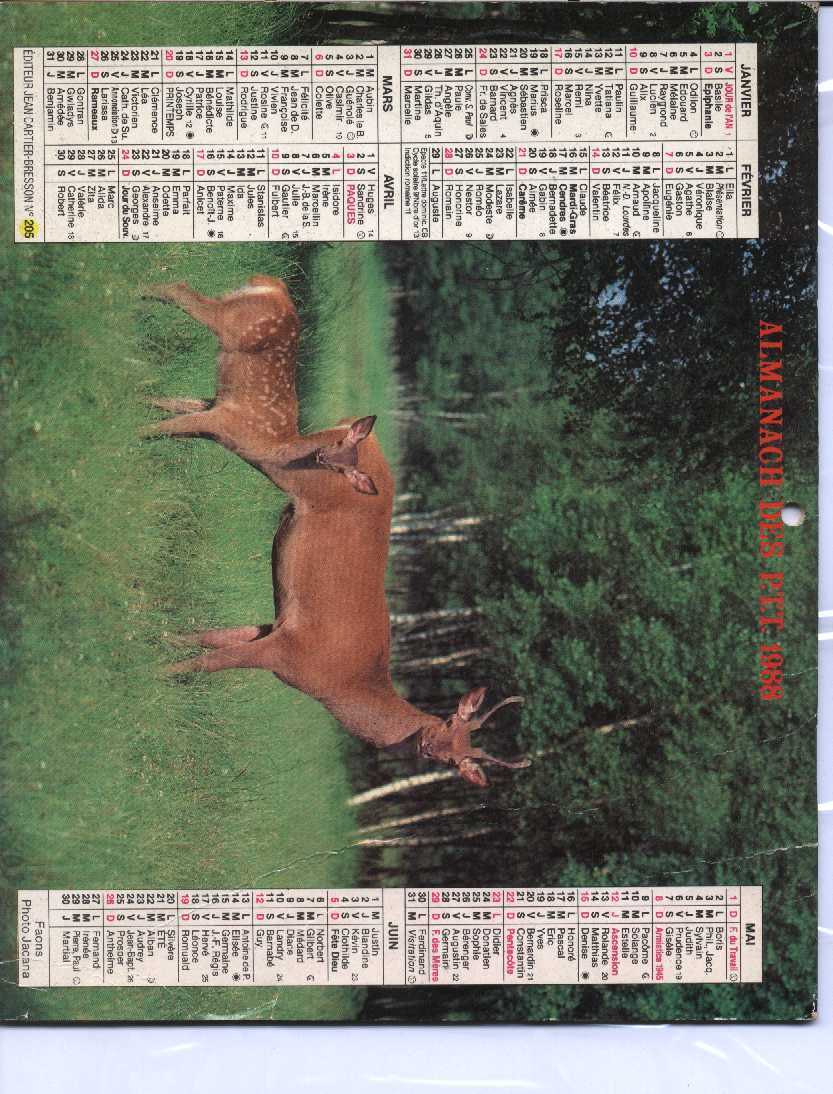 CALENDRIER PTT 1988  CARTIER BRESSON - Big : 1981-90