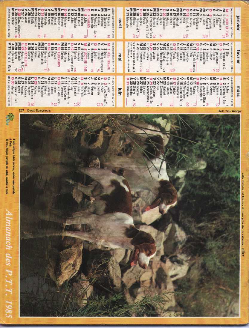 CALENDRIER PTT 1991 OLLER - Grand Format : 1981-90