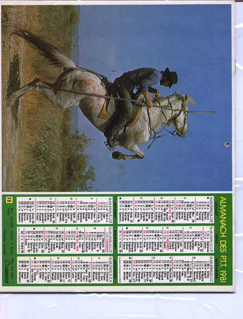 CALENDRIER PTT 1981 OBERTHUR - Grand Format : 1981-90