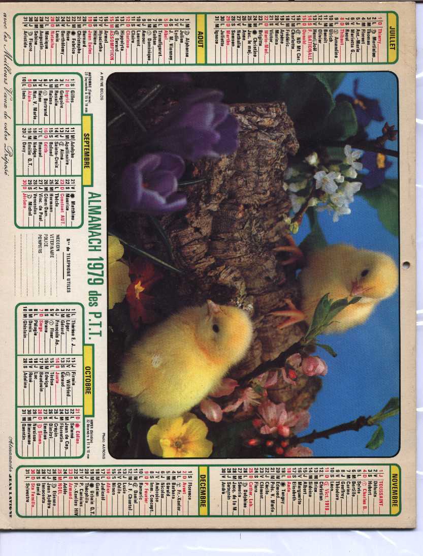 CALENDRIER PTT 1979 LAVIGNE - Grossformat : 1981-90