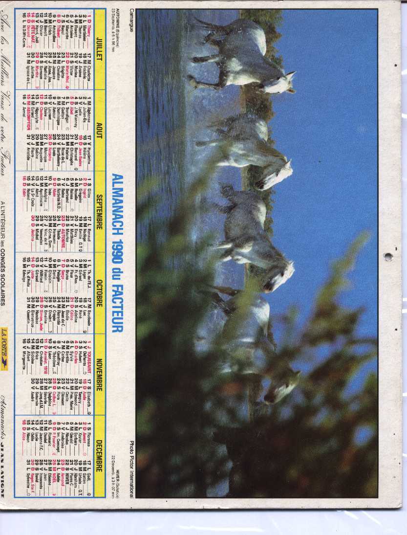 CALENDRIER PTT 1990 LAVIGNE - Big : 1981-90