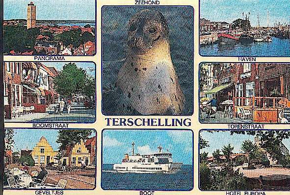 CP (Postkarte) TERSCHELLING - 05-06-1984 - MIT Briefmarke, Ca. 15 Cm X 10 Cm, Siehe Foto, Gebraucht. - Terschelling