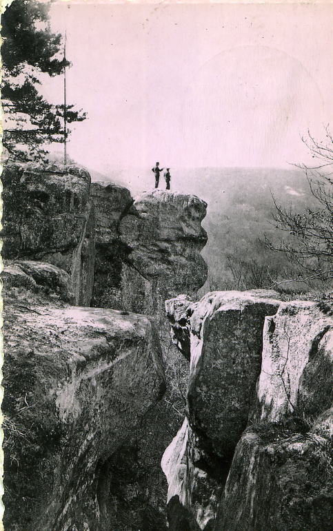 ECHTERNACH   -   Petite Suisse Luxembourgeoise - L'Ile Du Diable - Promenade B  (a Voyagé En 1954) - Echternach