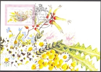 Australia Wildflowers Maxi Card With Stamp Attached - Maximumkarten (MC)