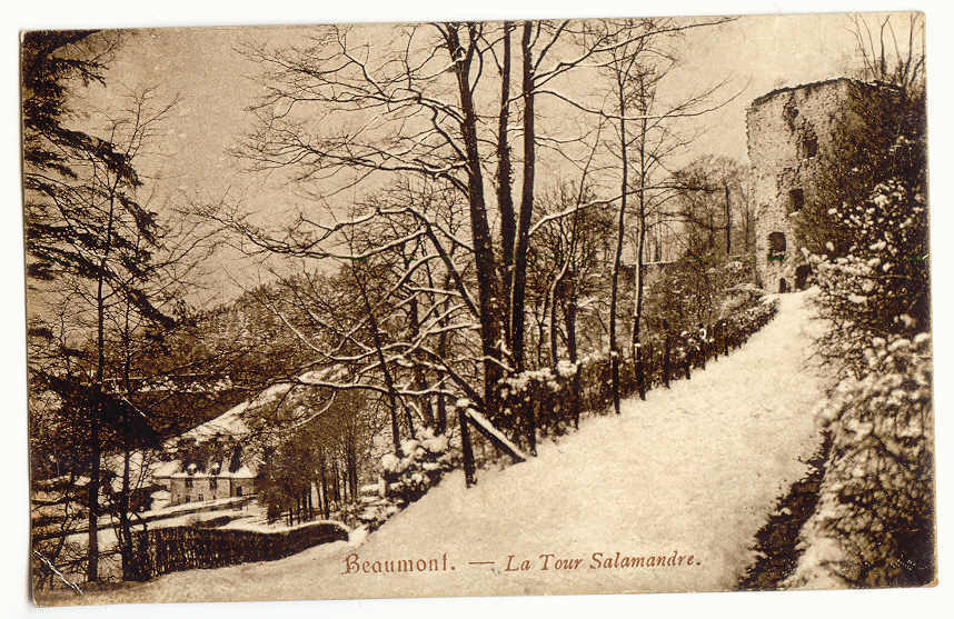 4- BEAUMONT  - La Tour Salamandre - Beaumont