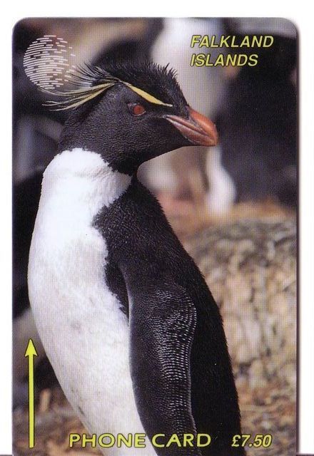 Bird - Oiseaux - Birds - Oiseau - Manchot - Pingouin – Penguin - Penguins - Falkland Isl. (code 1CWFA ) Only 4.000 Ex. - Falklandeilanden
