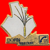 Pin´s France Telecom DORN TOULOUSE - Mail Services