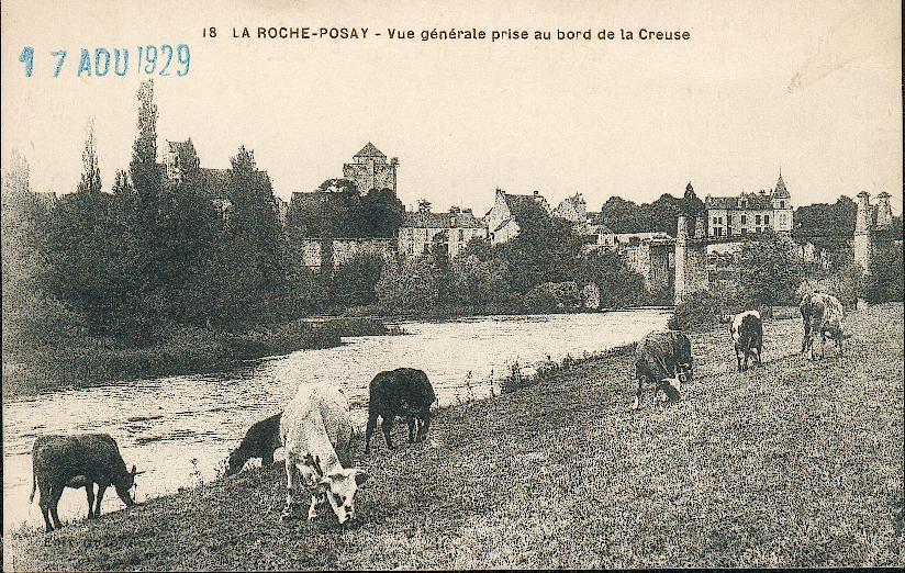 86 - LA ROCHE-POSAY. Vue Générale Prise Au Bord De La Creuse. - La Roche Posay