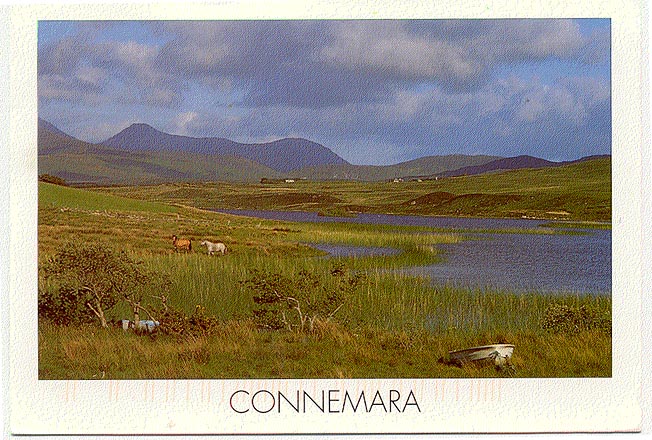 IRLANDE - Le CONNEMARA - Galway