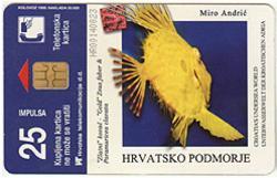 ALGA ( Croatie Rare Card - I Serie Undersea ) Algue Alge Underwatter Marine Life Fish Fisch Poisson Pez Pesci - Kroatië