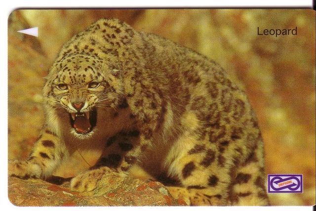 Malaysia - Malaisie - Wild Animals - Leopard - Code 64USBA - Malaysia