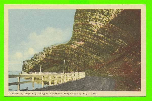 GASPÉ, QUÉBEC - ROUTE PRÈS DE GROS MORNE - - Gaspé