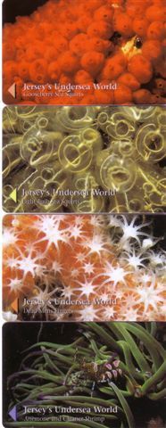 UNDERSEA WORLD ( Jersey Islands Set Of 4.cards ) ** Marine Life - Underwatter - Anemone - Fish - Poisson - Fisch - Pez - Peces
