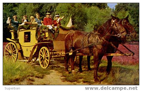 DILLIGENCE à CHEVAUX - POSTKUTSCHE - LUNEBURGER HEIDE, ALLEMAGNE - 1970 (x-070) - Teams