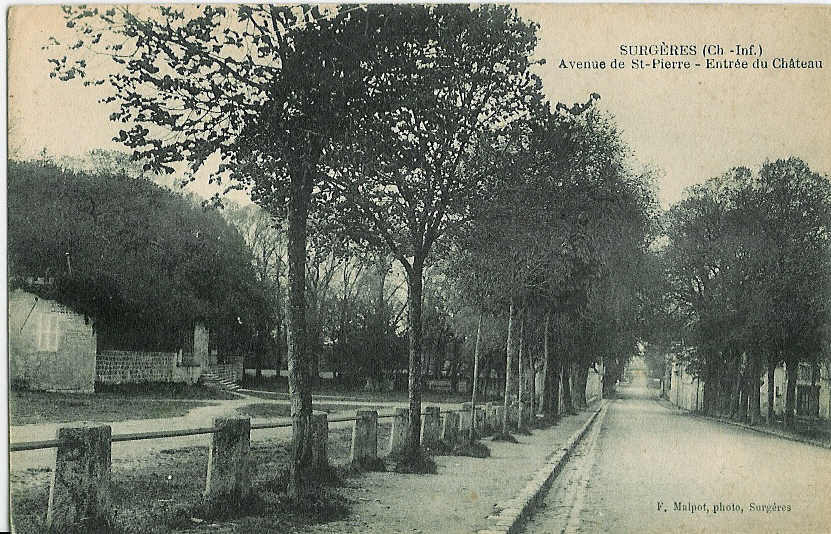 SURGERES - Avenue De Saint-Pierre - Entrée Du Château. - Surgères