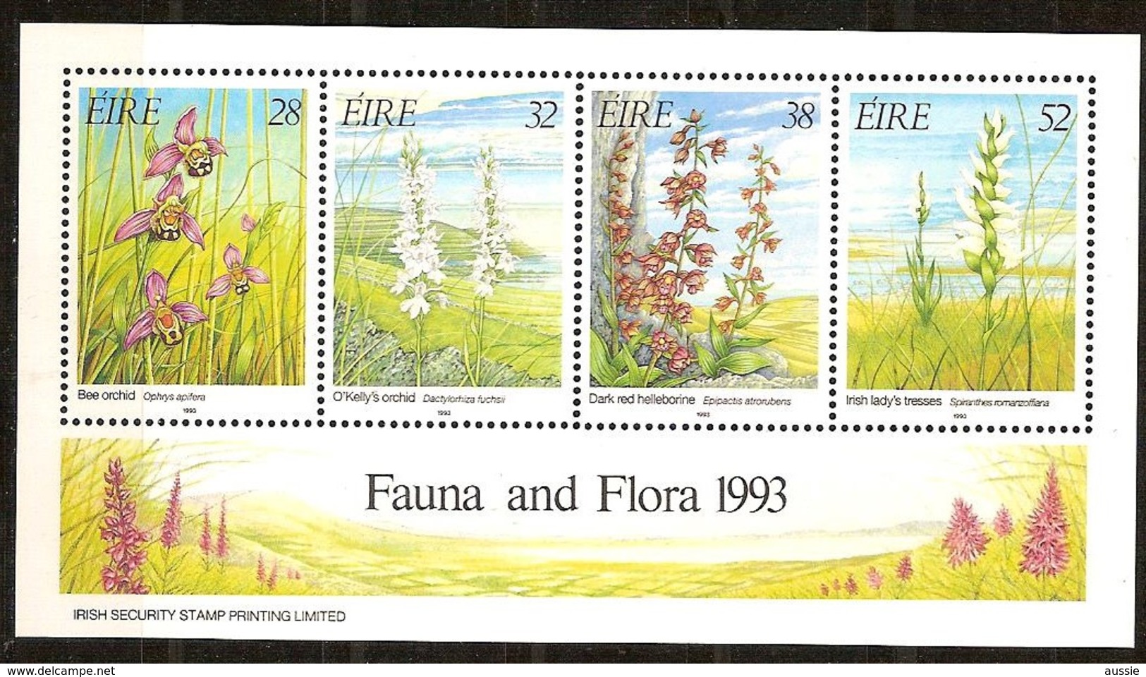 Ierland Irlande 1993 Yvertnr. Blok 13 *** MNH  Cote 9,00 Euro Flore - Blocchi & Foglietti