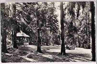 01 OYONNAX  Forêt De La Brétouze Années 50 - Oyonnax