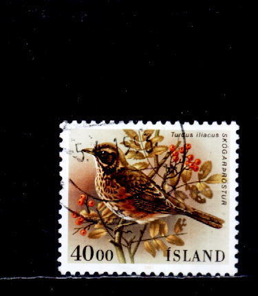 M1723 - Islande Yv.no.622 Oblitere - Used Stamps