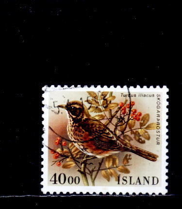 M1723 - Islande Yv.no.622 Oblitere - Usati