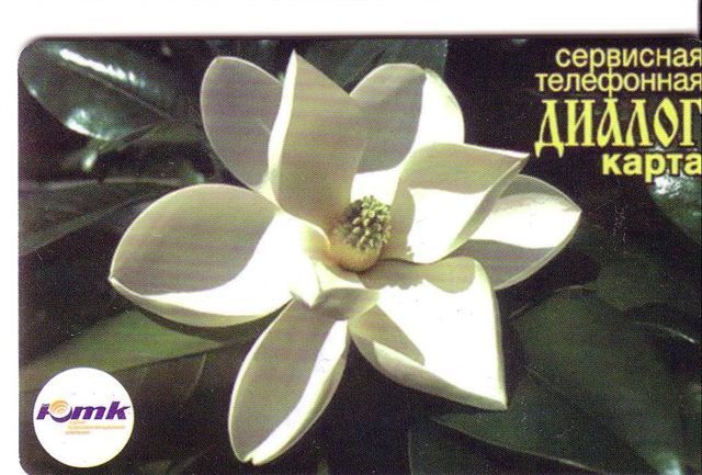 Flora ( Flore ) – Flowers – Blume (blumen) – Flor – Fleur ( Fleurs ) – Struzzo -  Russia - Fiori