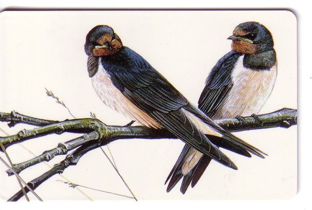 Fauna – Faune - Birds - Vogel - Voegel - Oiseau – Oiseaux - Uccello – Pajaro - Bird - Luxembourg TS 28 - Luxembourg