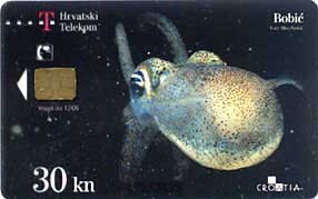 TRANSPARENT Card BOBIC ( Croatia ) - Underwater - Fish - Poisson - Fisch - Pez - Pesci - Transparente Bobi&#263; - Peces