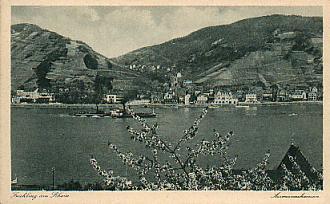 Allemagne CP Ancienne " Printemps Sur Le Rhin " Vue De La Ville D'Assmannshausen - Rheingau