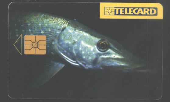 CZECH REPUBLIC - C192 - FISH - Tchéquie