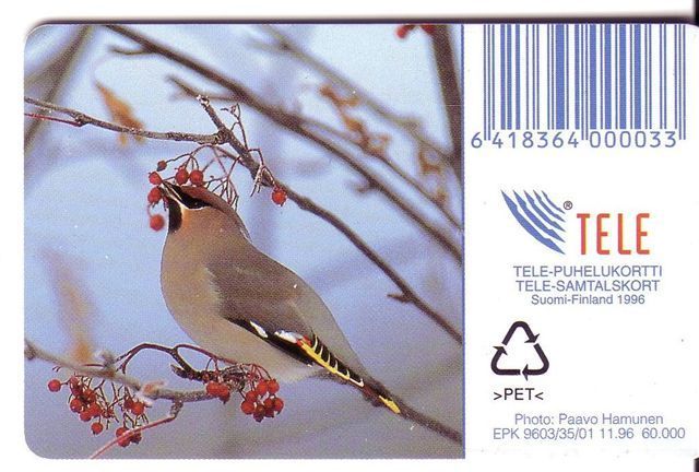 SONGBIRD ( Finland Card - Only 60.000 Ex. ) Songbirds Pajaro Cantor Uccello Cantoro Bird Oiseau Ave Birds Oiseaux - Songbirds & Tree Dwellers