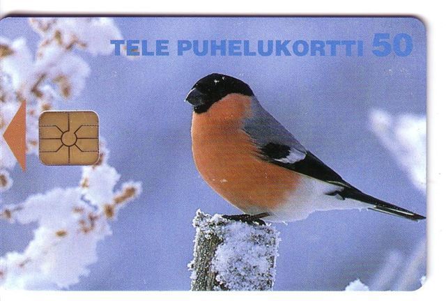 BULLFINCH Pinson  ( Finlande Card - Only 60.000 Ex. ) Common Eurasian Finch Pinzon Fringuello Bird Oiseau Pajaro Birds - Passereaux