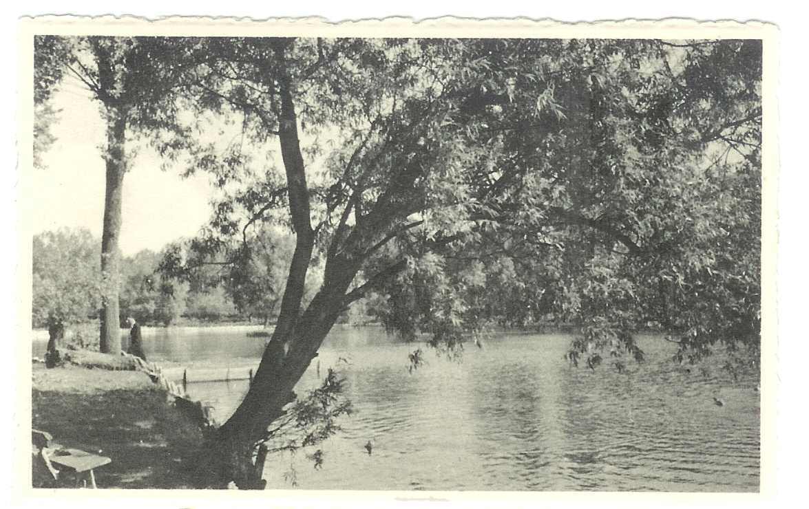 GROOT-BIJGAARDEN L'étang - De Vijver (état Neuf) - Dilbeek