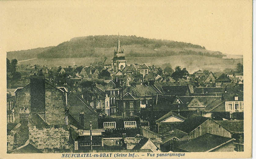 NEUFCHATEL-EN-BRAY - Vue Panoramique. - Neufchâtel En Bray