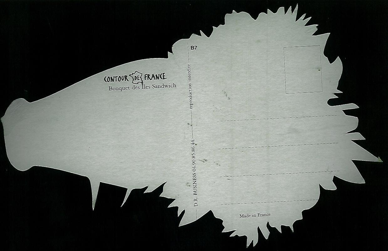CP Découpée édition CONTOUR De FRANCE N° B07 - BOUQUET DES ILES SANDWICH - Humor