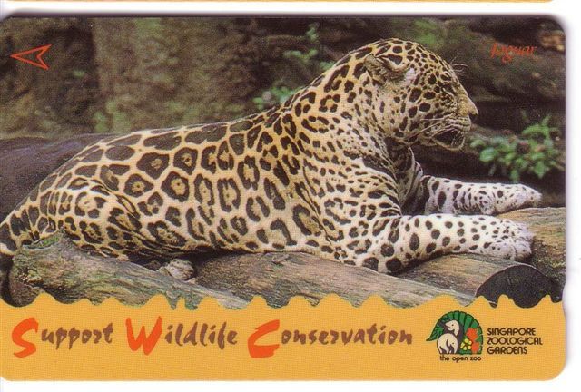 Singapore - Singapour - Fauna - Faune - Animals - Animaux - Jaguar ( Code 94SIGB ) - Singapur