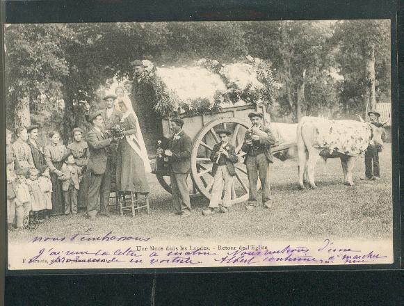 Une Noce Dans Les Landes Retour De L'église CPA Précurseur Voyagée 1905 Attelage Boeufs !!! - Marriages