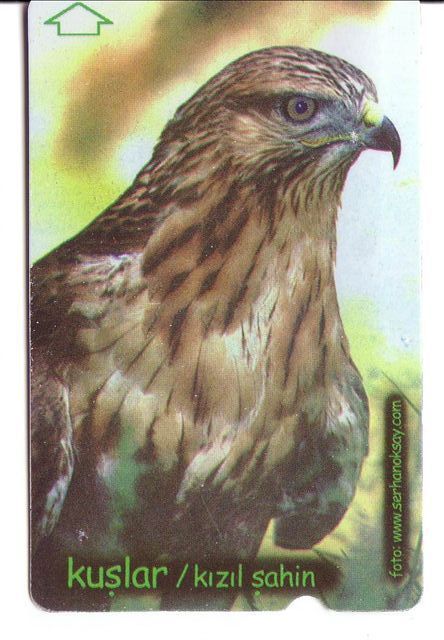 EAGLE (Turkey Old Card) * Bird - Oiseau - Eagle - Falcon - Eagles - Faucon - Hawk - Aigle - (see Scan For Condition) - Turquie
